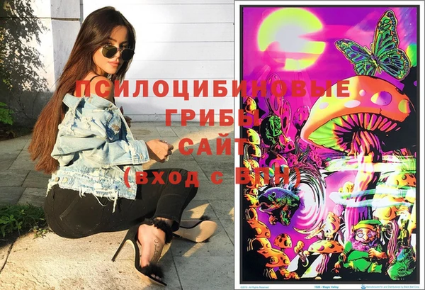 шишки Абинск