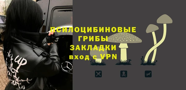 Альфа ПВП Абаза