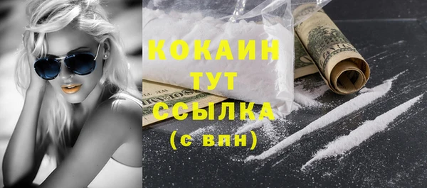 шишки Абинск