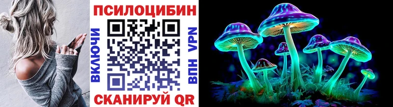 Галлюциногенные грибы Psilocybine cubensis  Южа 